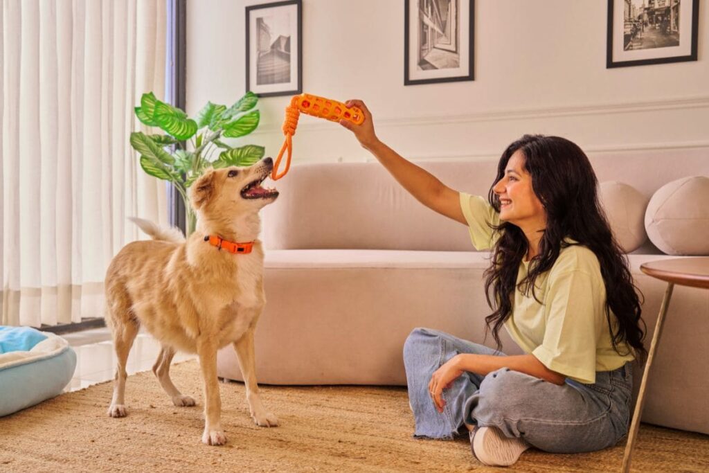 Renda extra com pets